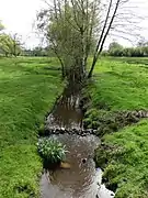 La Brame près de Petit Bessac.