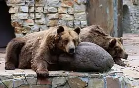 Image illustrative de l’article Zoo d'Augsbourg