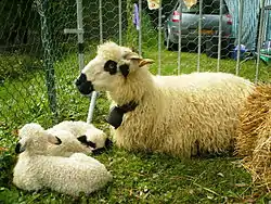 Image illustrative de l’article Thônes et Marthod