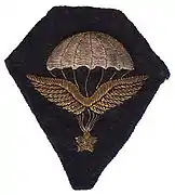 Autre modèle du brevet de l'infanterie de  l'air -  Modèle 1937