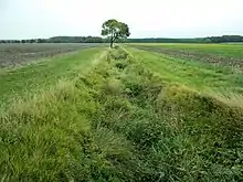 Photographie en couleurs d'un fossé séparant deux champs cultivés.