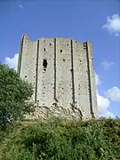 Pan de mur du donjon, muni de ses contreforts.