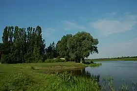 Kuligów