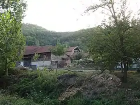 Bukova Glava (Leskovac)