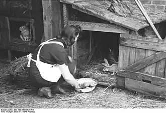 Femme devant un clapier rustique