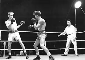 Image illustrative de l’article Henryk Niedźwiedzki