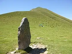 Image illustrative de l’article Menhir de Bustitza