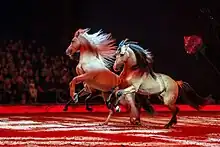 Photographie de chevaux dans les tons rouges, courant sur une piste de cirque devant un public.