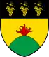 Blason de Bernex