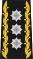Commandant de corps (chef de l'Armée, des Forces terrestres ou des Forces aériennes) (cdt C)