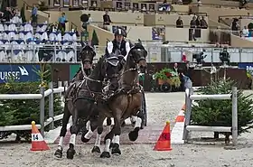 Image illustrative de l’article Boyd Exell