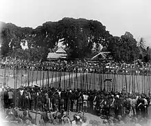 Au premier plan, le public tenant des piques, au milieu un félin noir courant, à l'arrière plan, le public armé d'épieu.