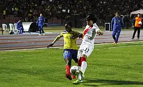 Image illustrative de l’article Cindy Novoa