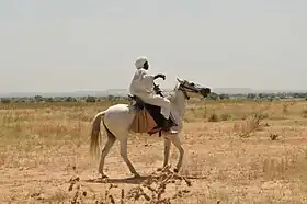 Cavalier sur un cheval gris marchant