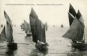 Bateaux sardiniers à l'entrée du port.