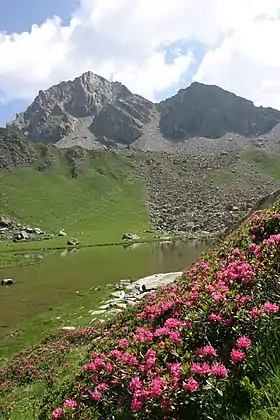 Vue de la Punta Cristalliera depuis le val Cluson.