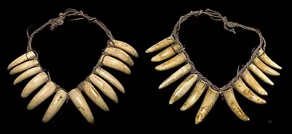 Collier de dents de cachalot - Fidji