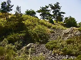 Image illustrative de l’article Camp d'Antoune