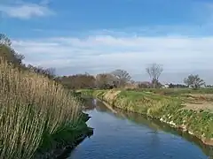 Canal du Viguièrat, près de Saint-Étienne-du-Grès.