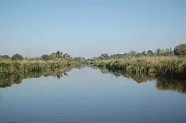 Paysage de Brière, dans l'ouest.