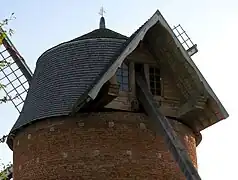 Partie supérieure et opposée à l'axe des ailes.