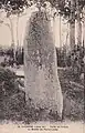 Carte postale ancienne du menhir de Pierre-Levée,dans la forêt de Princé.