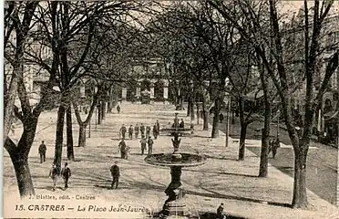 La place Jean-Jaurès et ses grands ormeaux au début du XXe siècle
