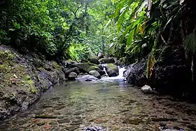 Image illustrative de l’article Rivière Case Navire