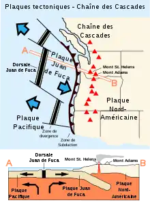 Schéma de la zone tectonique de la chaîne des Cascades.