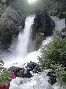 Photographie d'une cascade qui est une chute d'eau avec une puissance relativement impressionnante, comme en témoignent les éclaboussures ; il y a des fleurs ainsi que quelques rochers entre les eaux.
