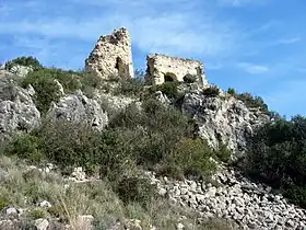 Castellví de la Marca