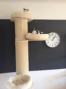 Arbre à chat monté sur un grand griffoir occupé par deux chats à leurs postes d'observation.