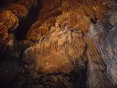 Photo prise dans "la cathédrale".