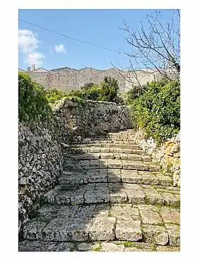 Image illustrative de l’article Kailia