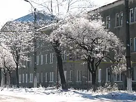 Petrovo Krasnosillia