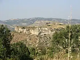 Image illustrative de l’article Acerenthia