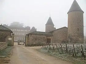 Image illustrative de l’article Château de Chasselas