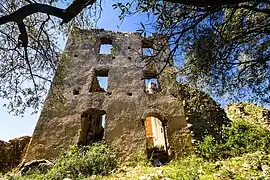 Château de Covasina : face est.