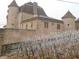 Image illustrative de l’article Château de Pouilly