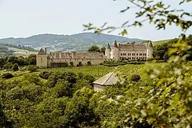 Image illustrative de l’article Château de Varennes (Rhône)