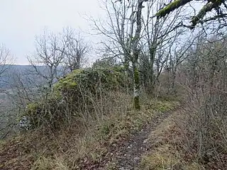 Vestige de mur côté sud-est de la crête.