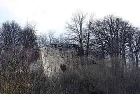 Image illustrative de l’article Château de Vignory