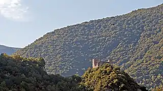 Un vautour survole la vallée.