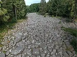 Champ de roches de Barbey-Seroux.
