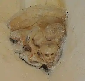 no 13 : détail d'un culot sculpté.