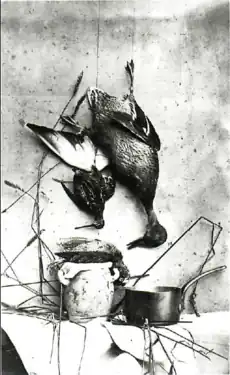 Nature morte au pichet (c. 1873), tirage sur papier albuminé (BNF).