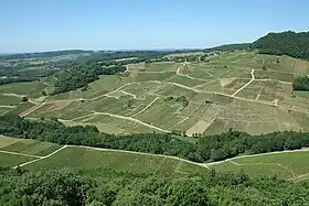 Image illustrative de l’article Château-chalon (AOC)