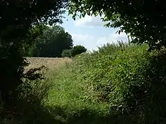 Chemin remontant du gué du ruisseau de Donstiennes vers la rue Poschet à Strée.