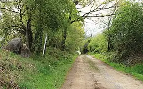 Dolmen de Peyre Dusets.