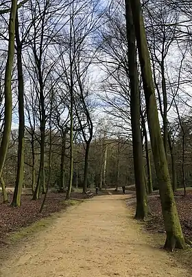 Image illustrative de l’article Chemin des Patineurs